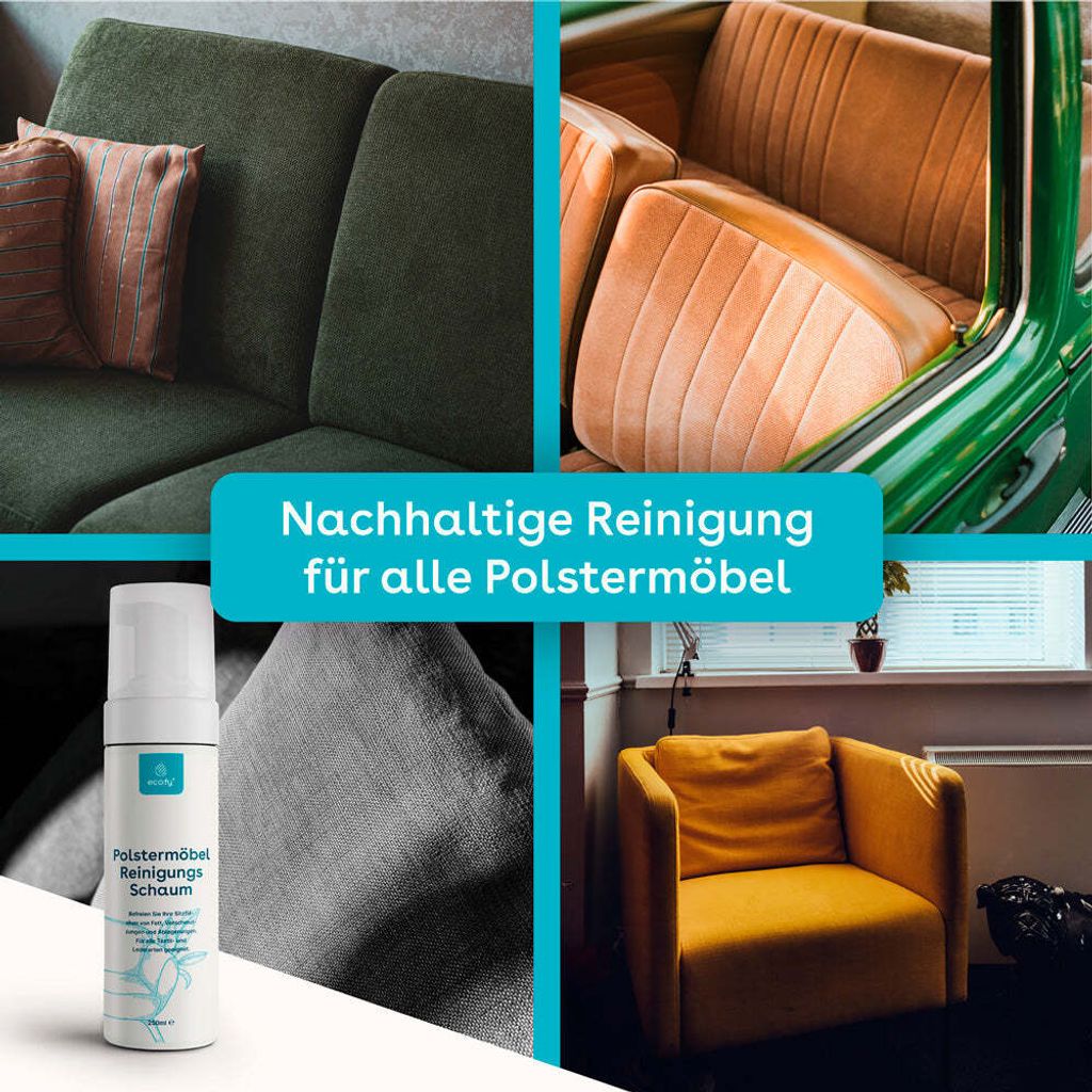 Dm Sofa Reiniger