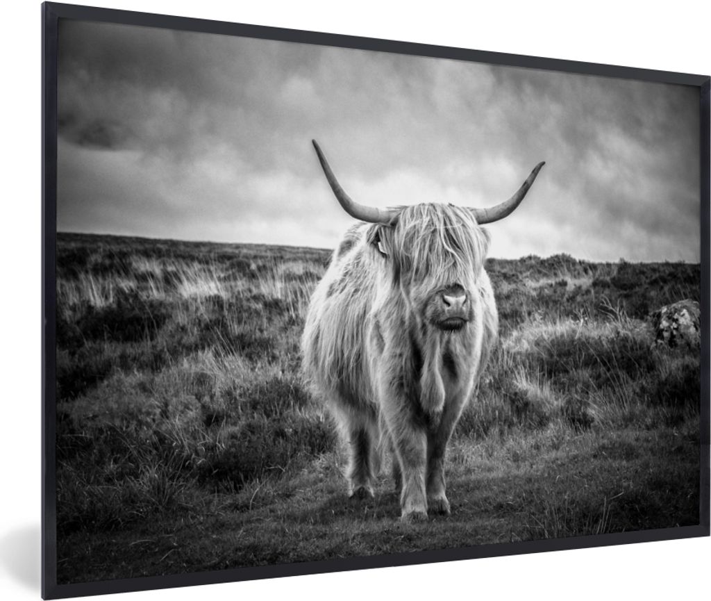 MuchoWow Gerahmtes Poster Schottischer Hochländer - Tiere - Wolken - Kuh - Natur 30x20 cm - Poster mit Schwarzem Bilderrahmen Wandposter Rahmen ...