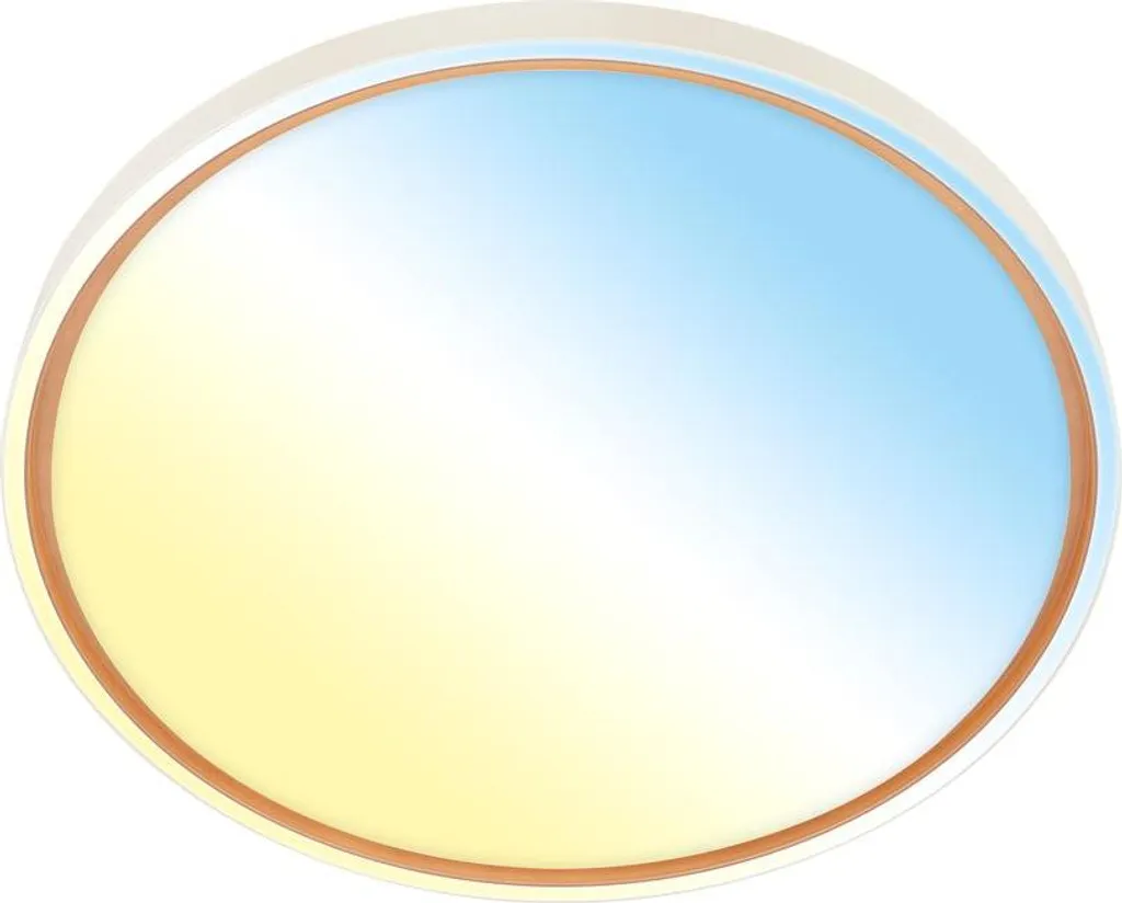 Plafoniera Briloner INA LED 24W Ø49cm Telecomando - Luce Regolabile