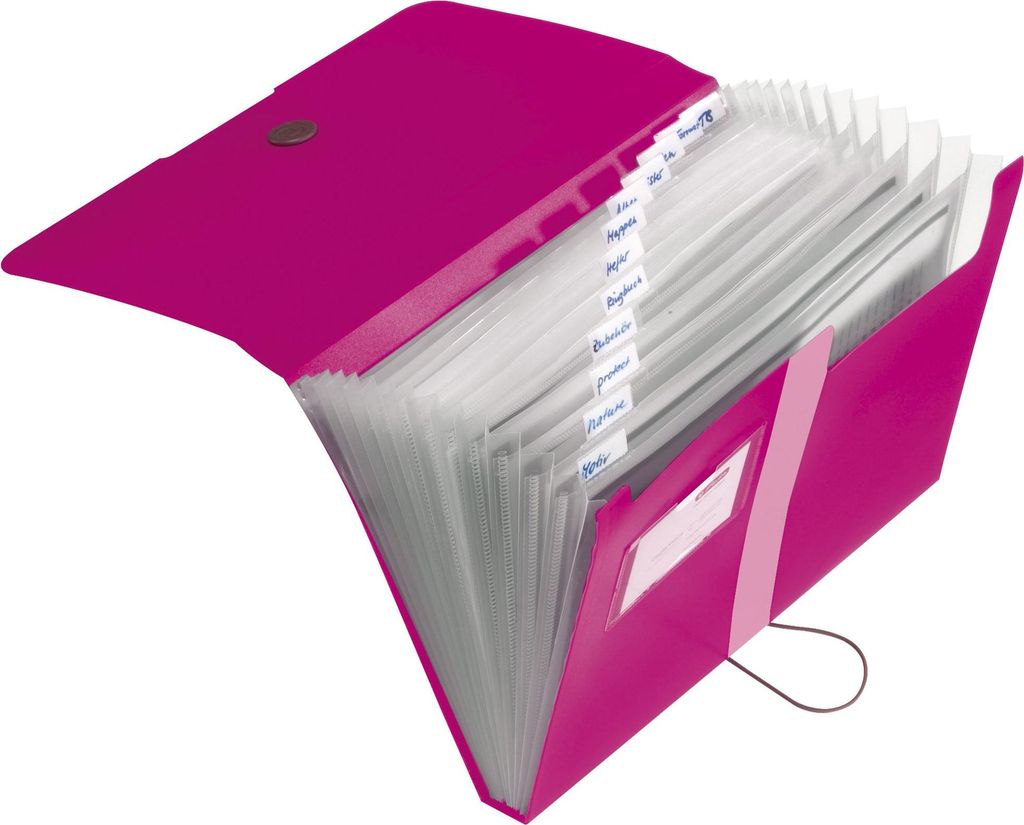 Herlitz Fächermappe    A4 PP beere      12 Fächer Produktbild 