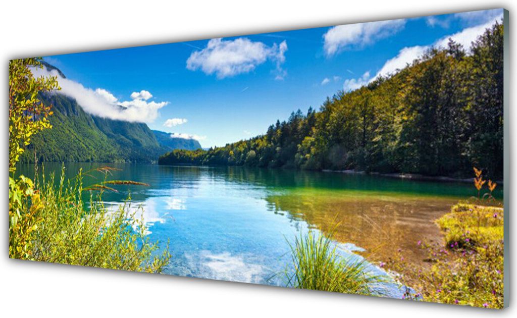 Küchenrückwand aus Glas 125x50cm Spritzschutz Gebirge Wald See Natur