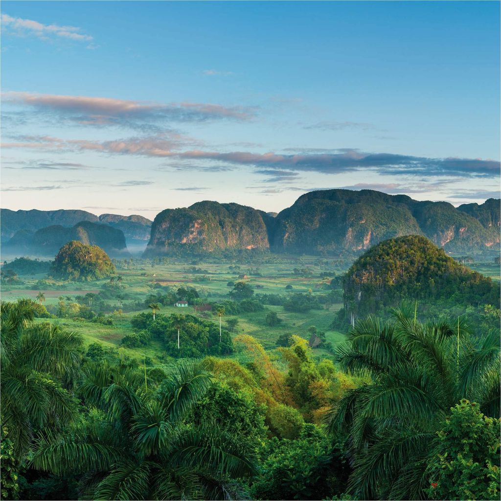Fototapete 101157 Vliestapete Natur Landschaft 279 x 280 cm Rasch Selection Blau Grün