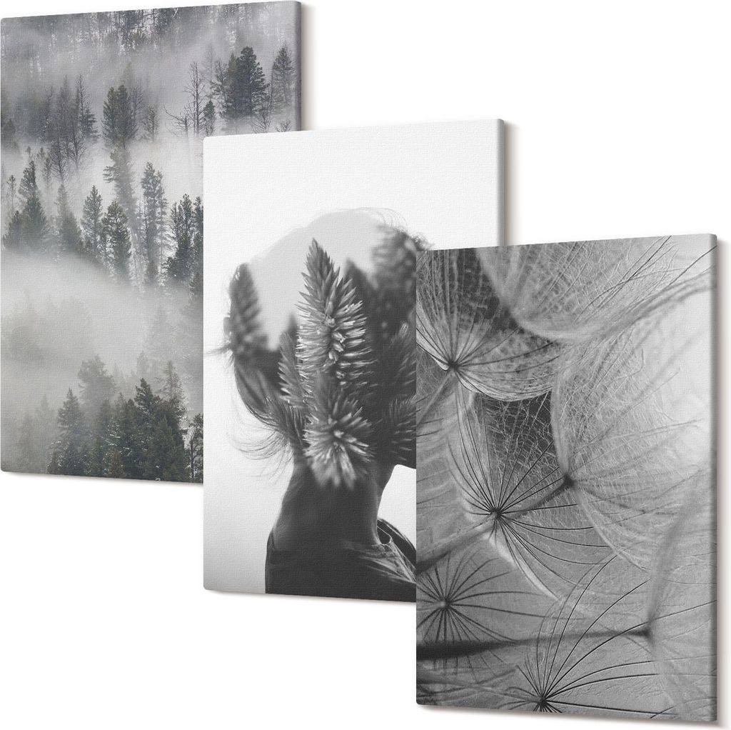 Leinwandbild – Wandbild – Leinwandbilder – Kunstdruck – Polycanvas – Modern – Mehrteilig – 3-Teilig Set – Hochwertig – Geruchslos...