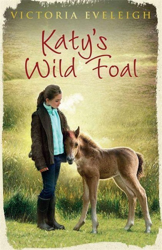Katy's Exmoor Ponys: Katy's Wildes Fohlen