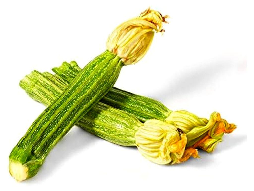 Costata Romanesco Zucchinisamen von Bobby-Seeds, Portion