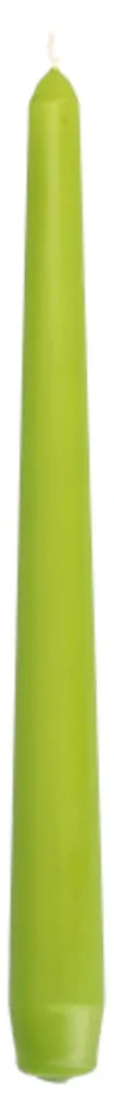 Bougies Longues Vert Olive Décoratives Boîte de 50 STARPAK - 4