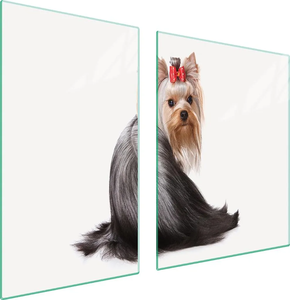 Piastre Protezione Fornelli 100x52 Vetro Temperato Yorkshire Dog