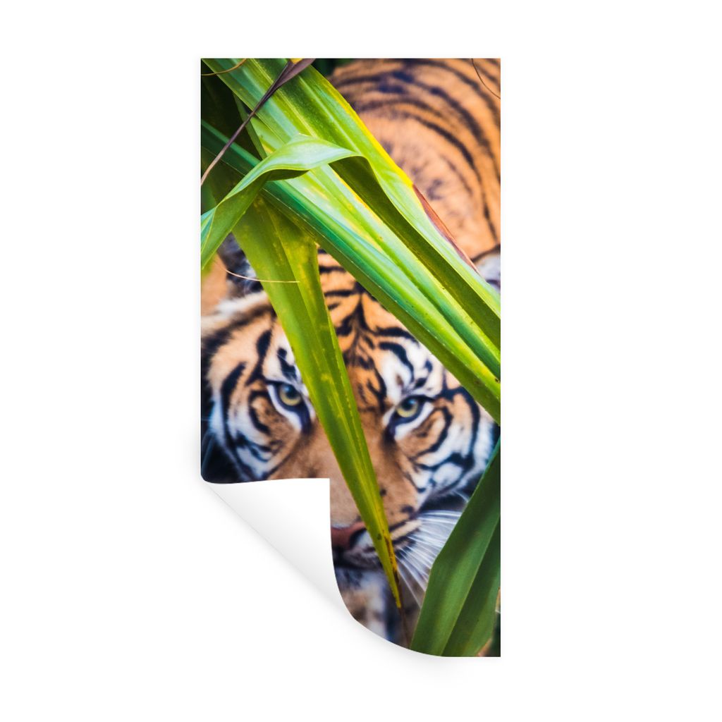 MuchoWow Wandtattoo Wandsticker Wandaufkleber Versteckter Sumatra-Tiger im Laub 20x40 cm Selbstklebend und Repositionierbar - Selbstklebend - Fot...