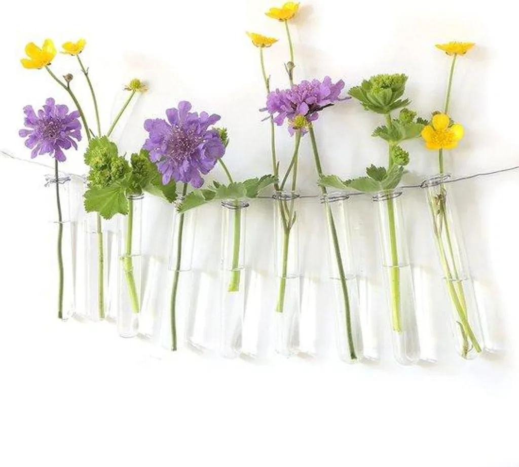 Terrarium Mural en Verre Transparent - Set de 12 pour Déco de Mariage