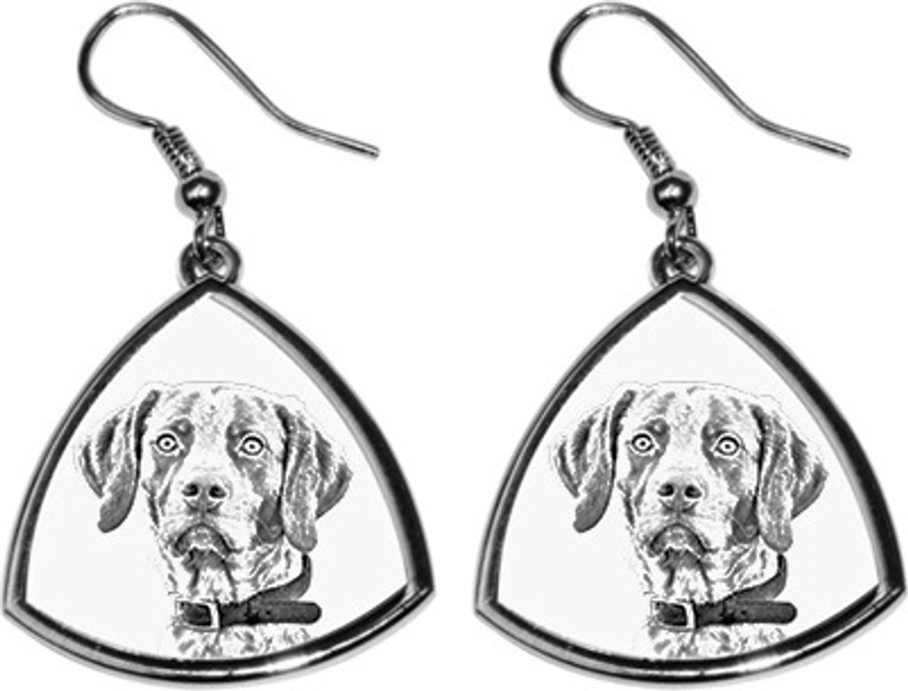English Pointer, Englischer Pointer II - Hund Ohrringe, hängende Ohrringe mit Bild, personalisierter Schmuck mit dem Aufdruck der Marke Art-Dog