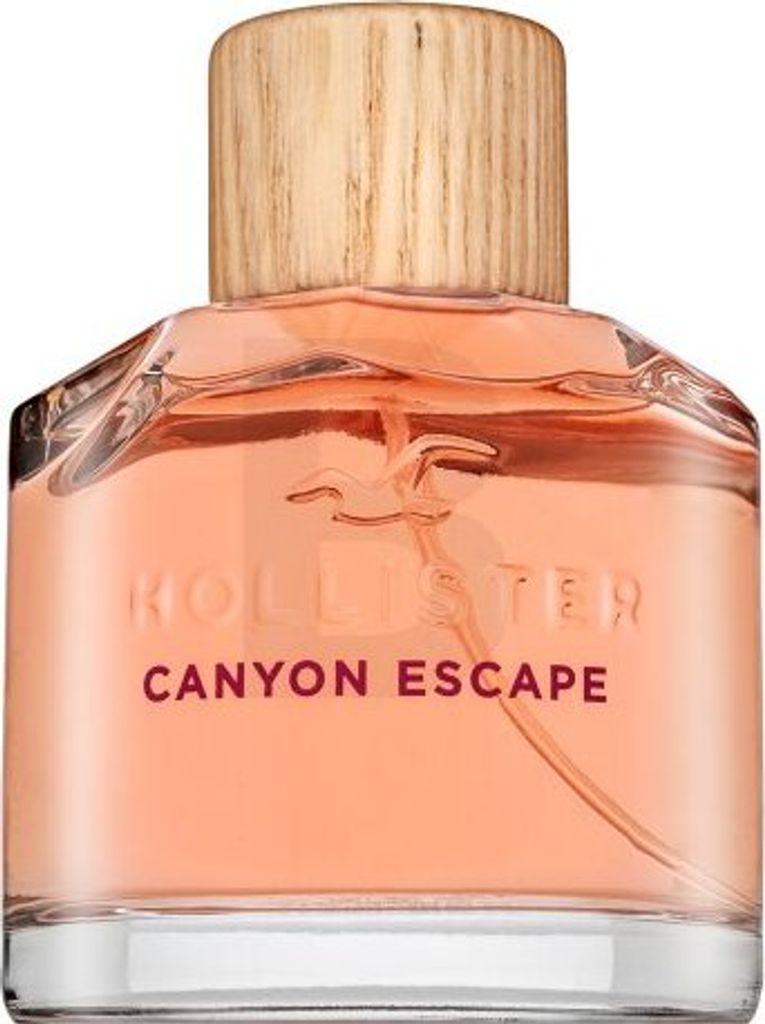 Hollister Canyon Escape parfémovaná voda pre ženy 100 ml Obrázok produktu 