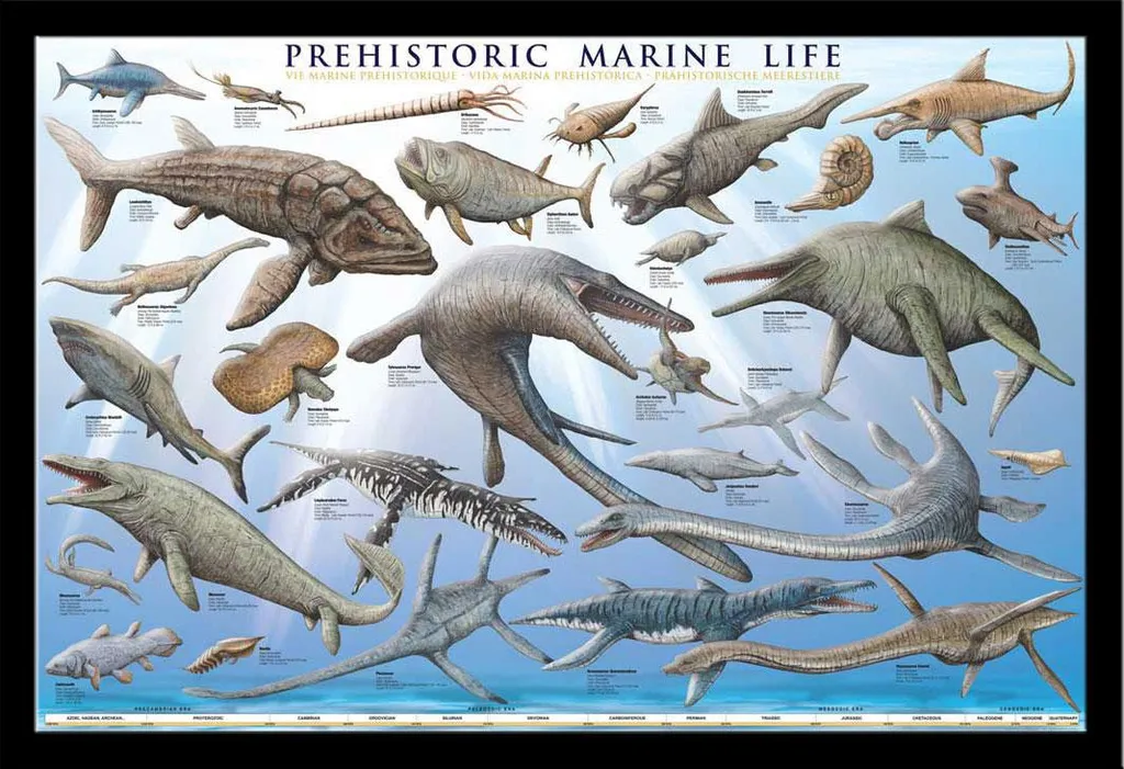 Affiche Vie Marine Préhistorique Cadre MDF Noir et Vitre Acrylique