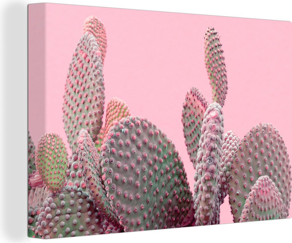 OneMillionCanvasses - Leinwandbilder - 140x90 cm, Kaktus - Pflanzen - Sommer, Wandbilder Kunstdruck Wanddekoration - Foto auf Leinwand - Gemälde...
