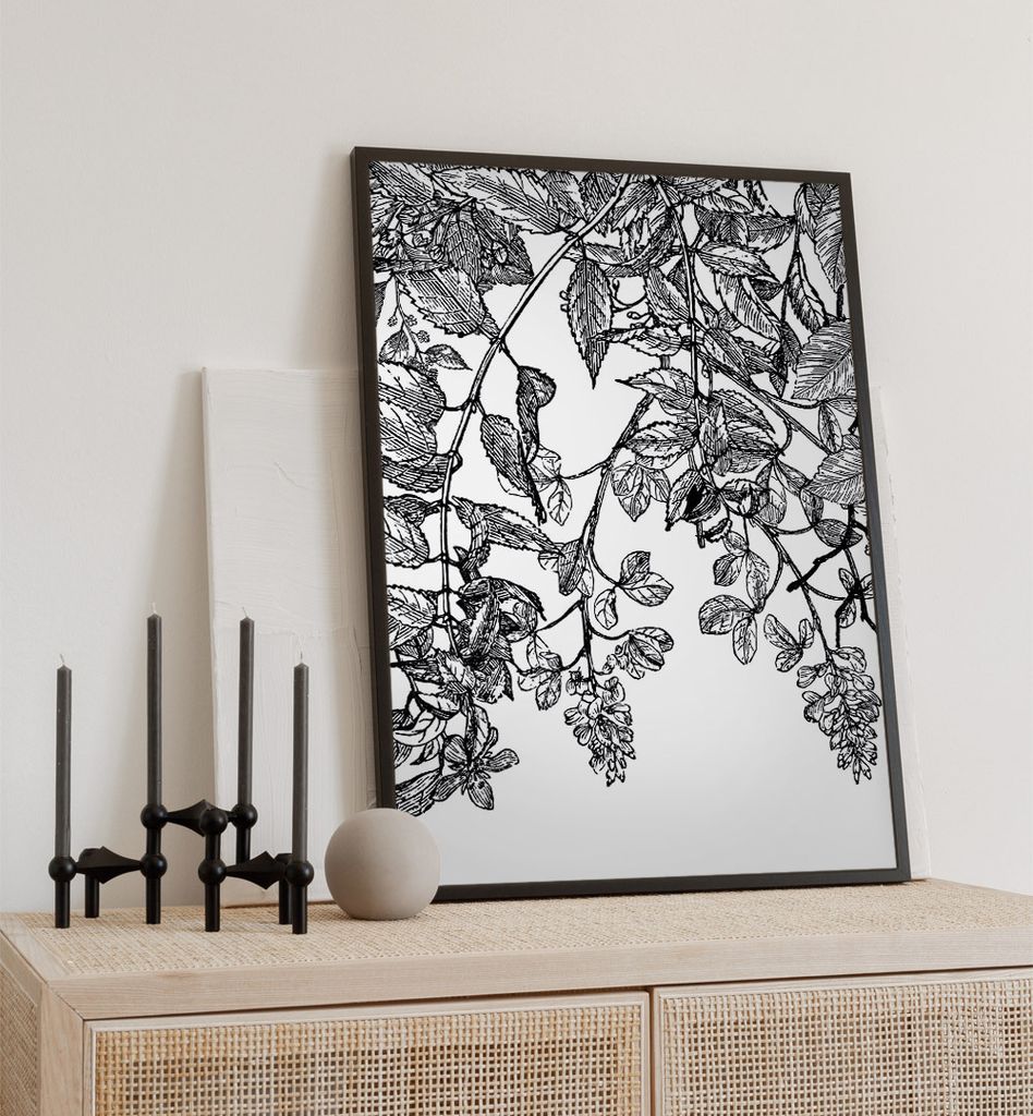 Poster gezeichnete Pflanzen, groesse_poster:50x70 cm, groesse_rahmen:schwarz Passepartout 70x100 cm