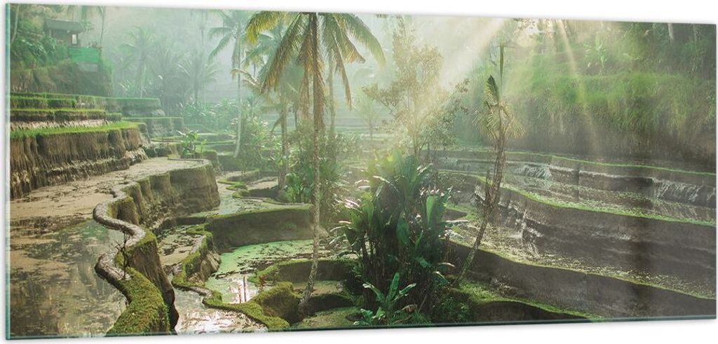 Bilder auf glas - Einteilig - Terrassen Reis Palmen - 100x40cm - Glasbilder - Wandbilder - Bilder - zum Aufhängen bereit - Wanddekoration aus Glas...