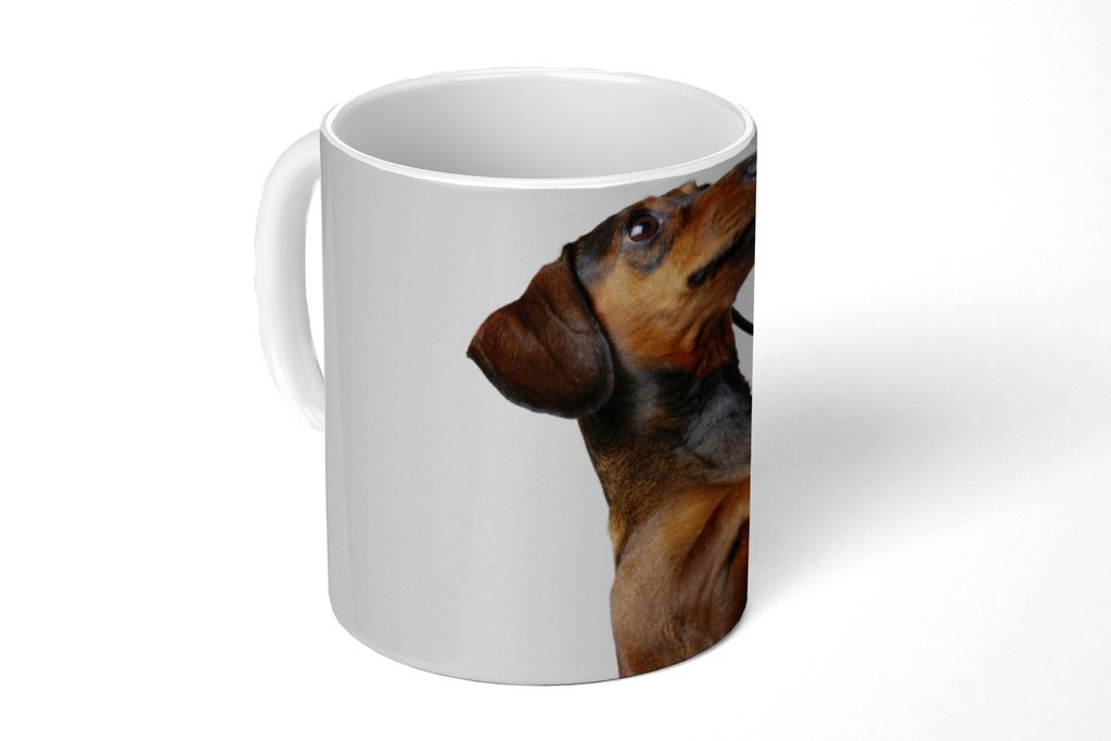 KitchenYeah Tasse Kaffeetasse Kaffeebecher 350 ml Ein Dackel, der auf seinen beiden Hinterbeinen steht Teetasse - Fototasse - Becher - Keramikbec...