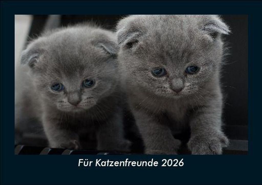Für Katzenfreunde 2026 Fotokalender DIN A5