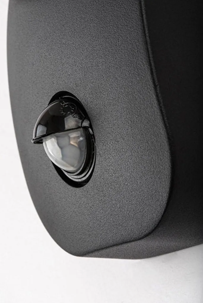 Plafonnier Extérieur LED Noir 12W IP44 Odiel Rabalux à Détecteur Intégré