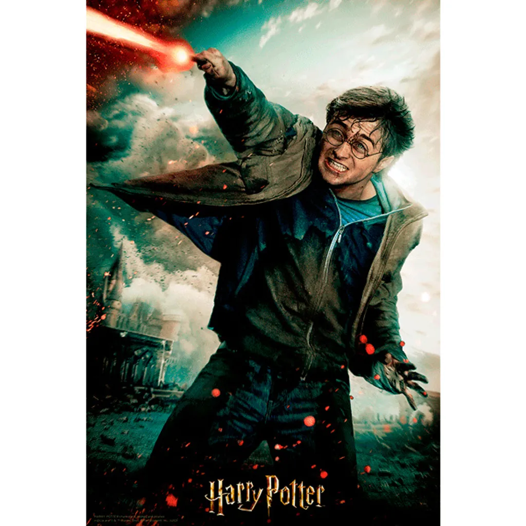 Puzzle Harry Potter 1000 pièces sans reflets - Assemblage Précis et Facile - 4