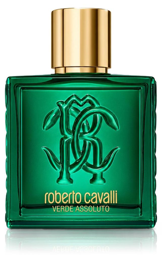Roberto Cavalli Verde Assoluto Uomo, hommes, 100 ml, clou Image du produit 
