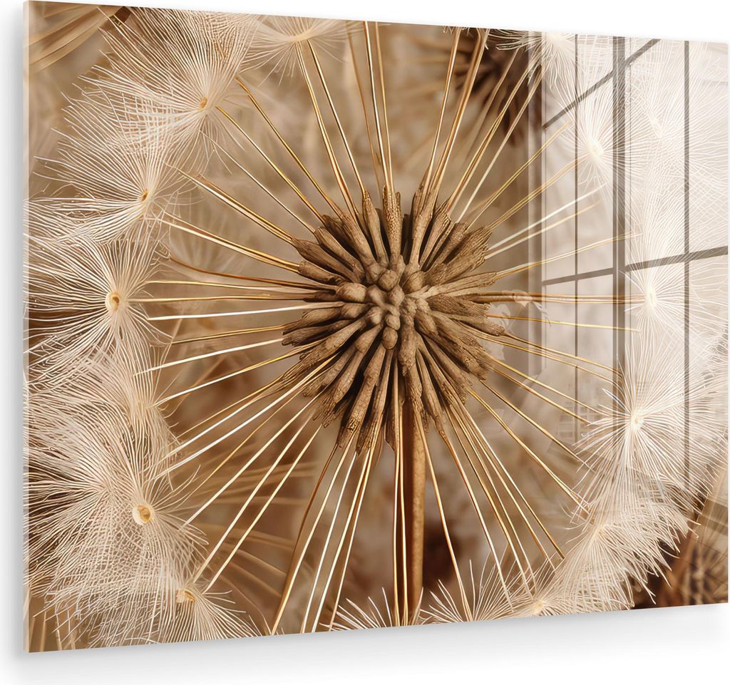 MuchoWow Glasbilder - Bilder auf Wandbild - Foto auf Glas Löwenzahn - Blumen - Natur - Braun 40x30 cm Wanddekoration aus Glas - Acrylglasbild - Ac...