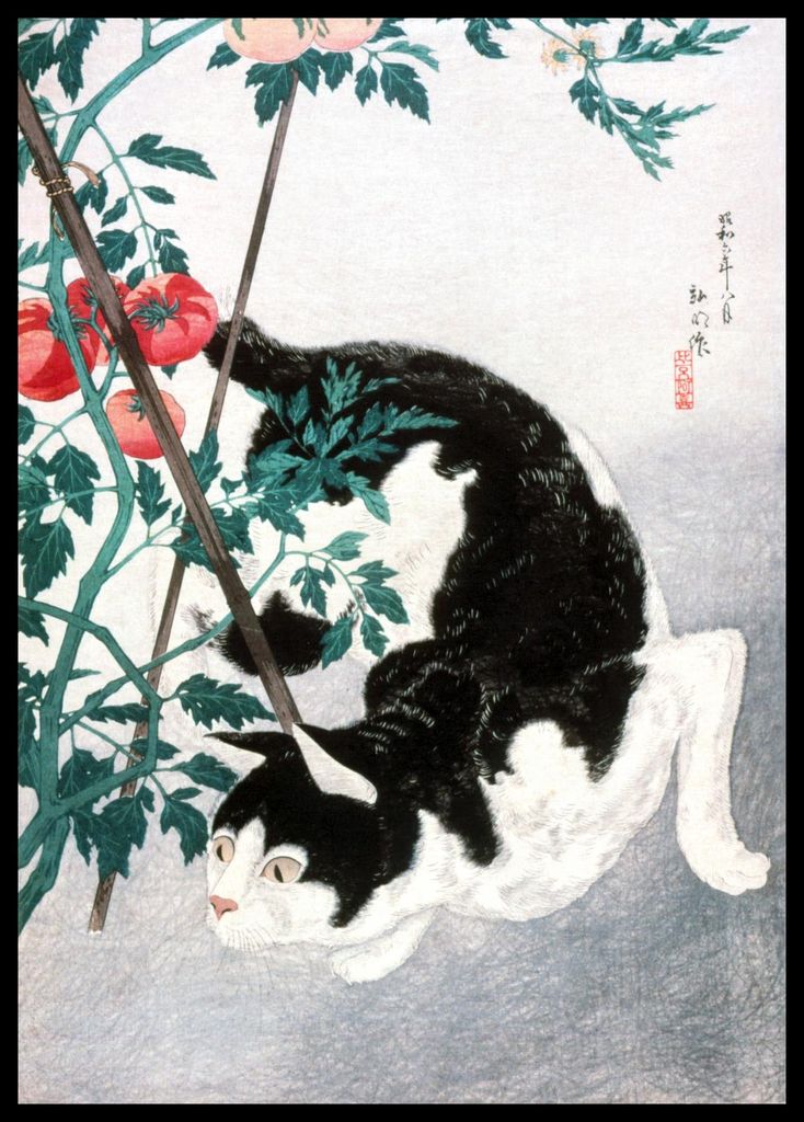 Plakat 42x59,4cm Katze mit Tomatenpflanze, Takahashi Japanischer Vintage für das Wohnzimmer
