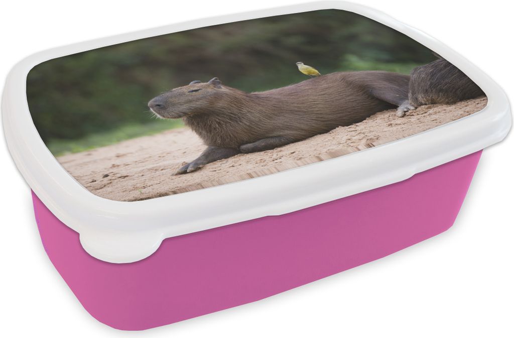 KitchenYeah Lunchbox Brotzeit Brotdose 17x11 cm Ein Capybara mit einem kleinen Vogel darauf Kinder Brotzeitdose - Lunchpaket - Brotkasten - Sand...