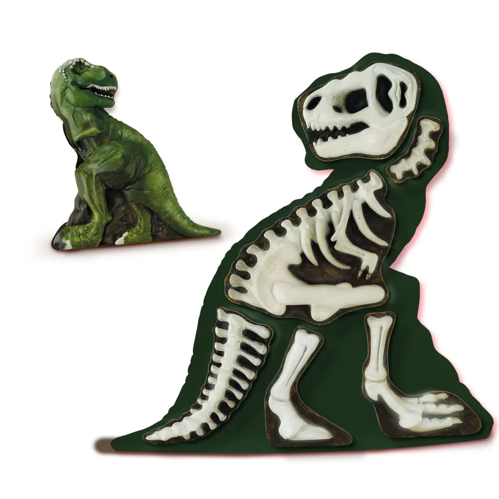 T-Rex en Plâtre avec Squelette Fluorescent SES Creative Dinosaure - 3