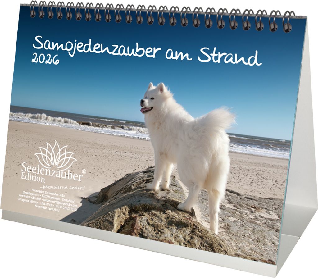 Samojedenzauber am Strand DIN A5 Tischkalender für 2026 Welpen und Hunde - Seelenzauber