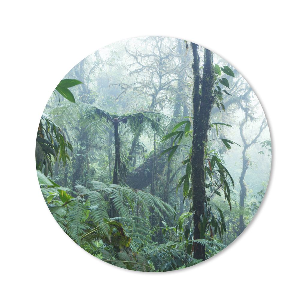 MuchoWow Mauspad Mousepad Nebliger Regenwald in Costa Rica 20x20 cm - Mousepads - Maus Mat - Pad - Mausunterlage - Schreibtischmatte
