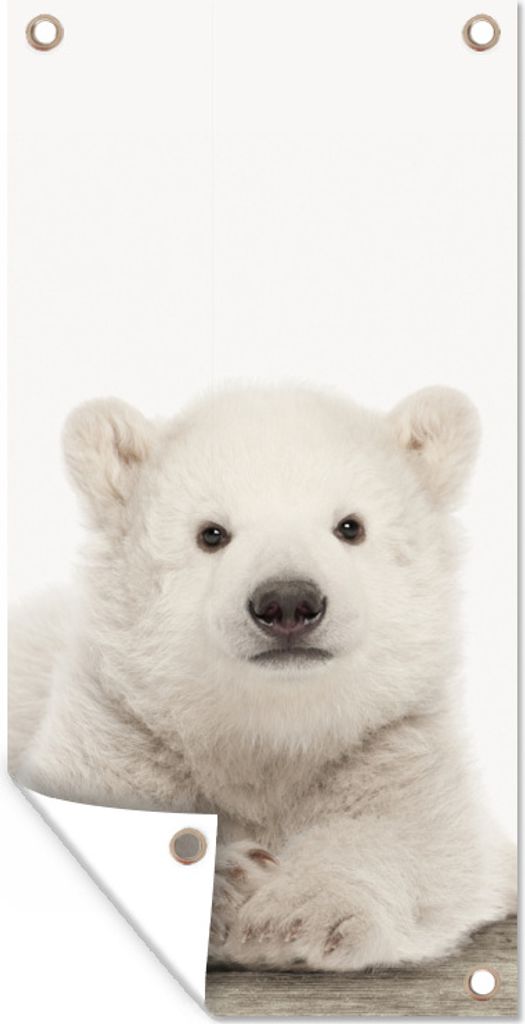 MuchoWow 40x80 cm Outdoor-Poster Gartendeko Sichtschutz Garten Poster für den Garten Eisbär - Tiere - Kinder - Weiß - Jungen - Mädchen