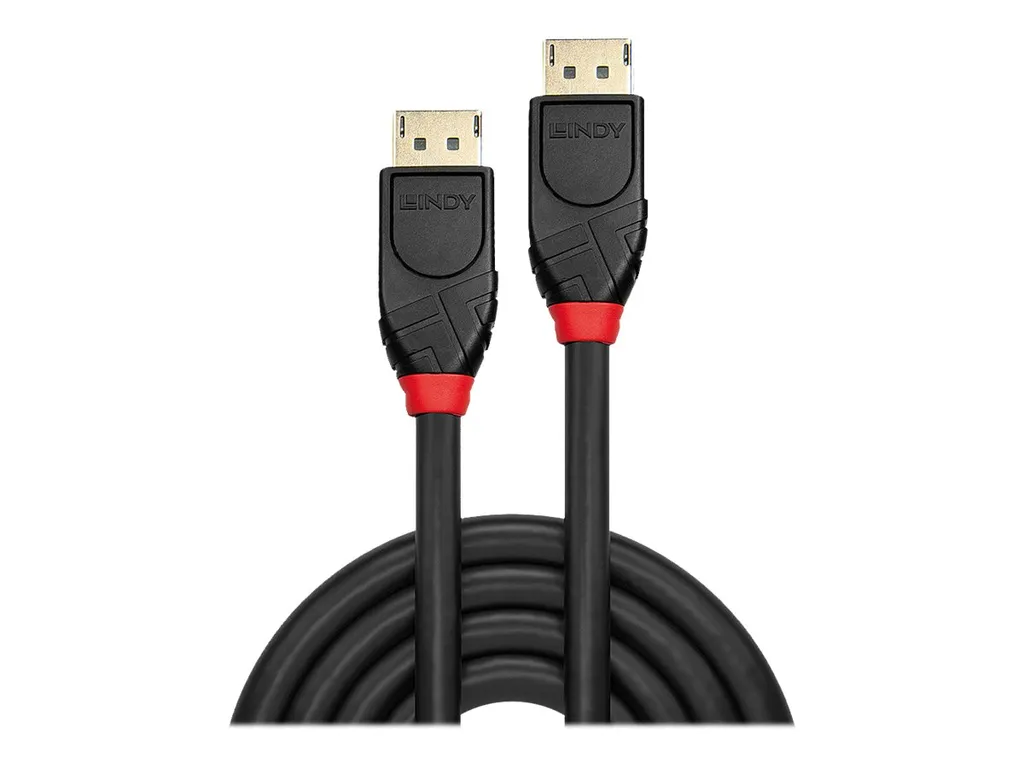 Câble DisplayPort 10m pour Installation Vidéoprojecteur et Écran 4K - 2
