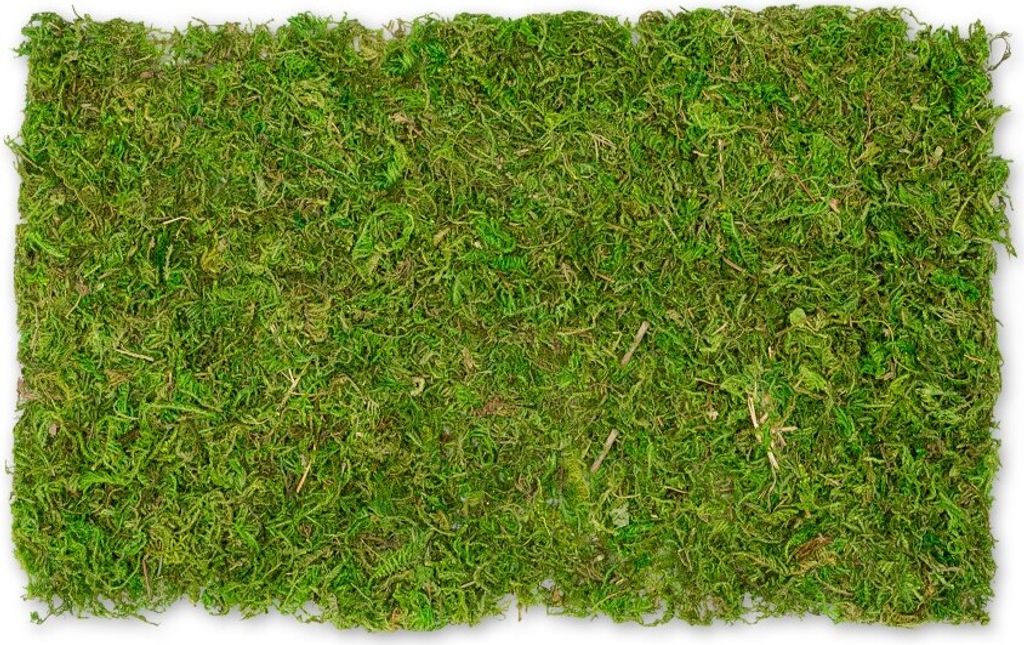 Moosplatte, Größe ca. 30 x 18cm | Moosmatte Produktbild 