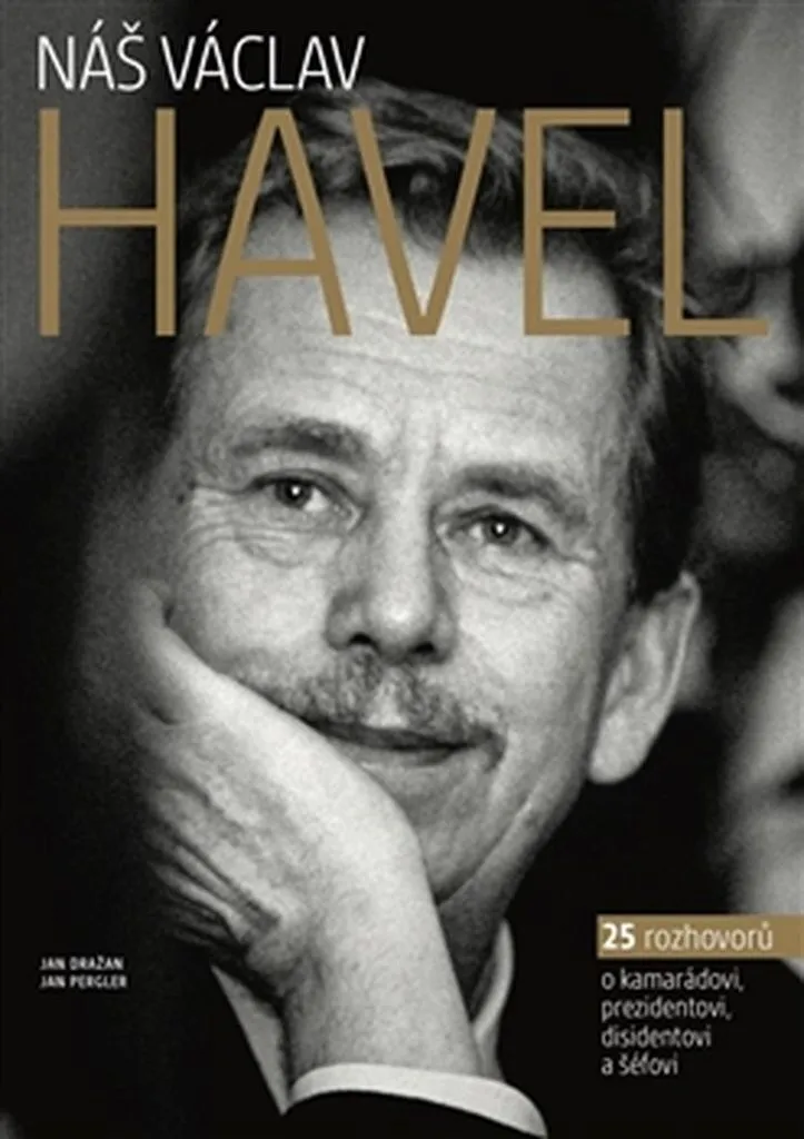 Comprendre Václav Havel : Livre d'entretiens pour Études Historiques