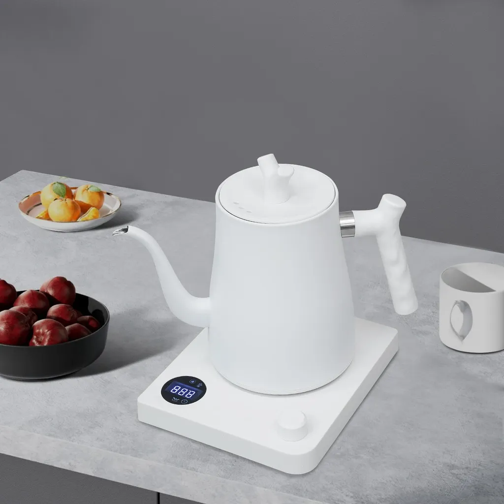 Bouilloire Électrique pour Thé et Café 1L Inox - Réglage Température