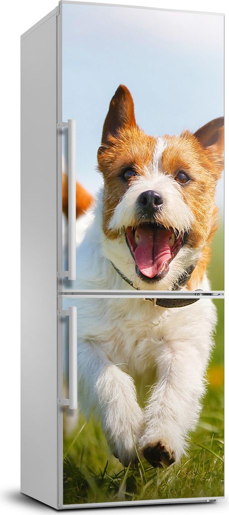 Tulup Kühlschrankdekoration - 70x190 cm - Aufkleber auf dem Kühlschrank - Jack-Russell-Hund