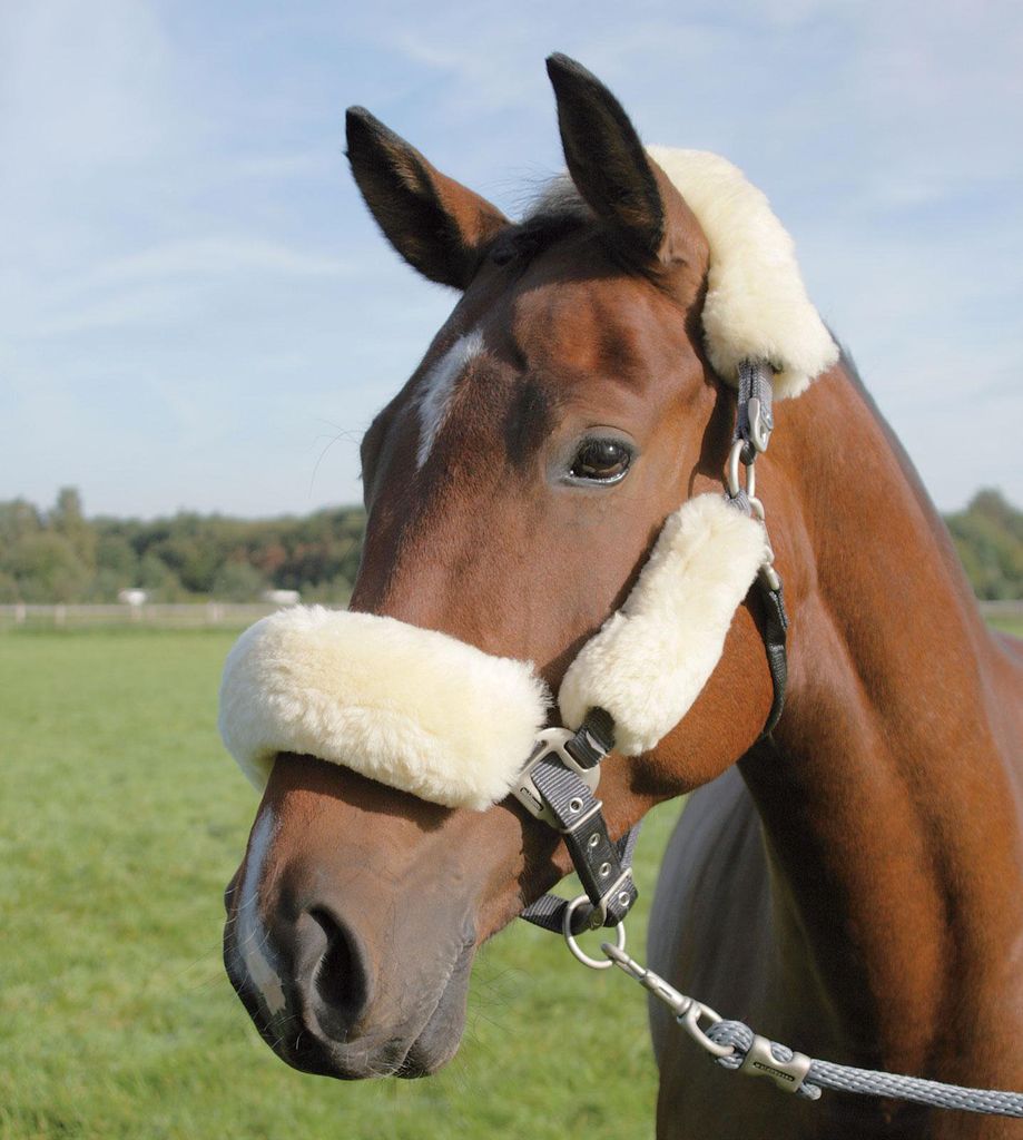 Waldhausen Lammfell Nasen- oder Genickschoner schwarz