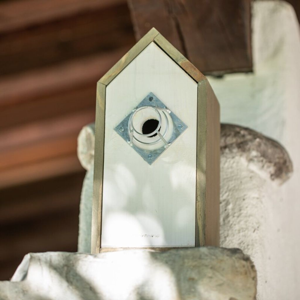 Vogelzubehör Nistmaterial 125g - 100% Natürliches Moos Für Nistkästen