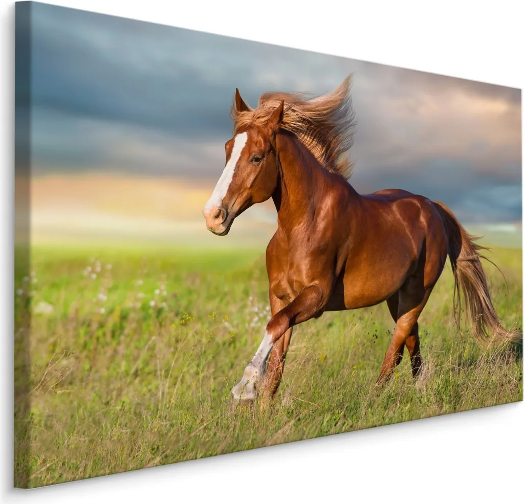 Grande Quadro Cavallo 120x80 cm - Tela XXL Stampa Natura Animali