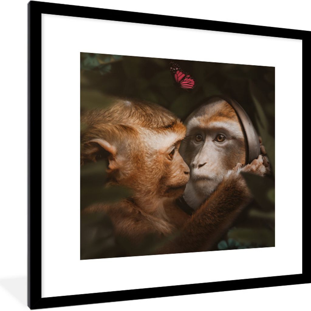 MuchoWow MuchoWow Gerahmtes Poster Tiere - Affen - Natur 40x40 cm - Poster mit zchwarzem Bilderrahmen - Poster - Plakat im Rahmen