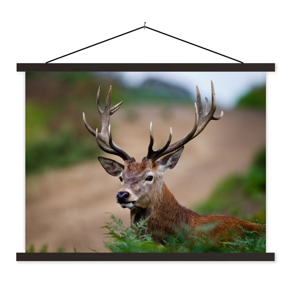 MuchoWow Textilposter Hirsche - Farne - Natur 150x113 cm mit holzfarbenen Rahmen - Poster