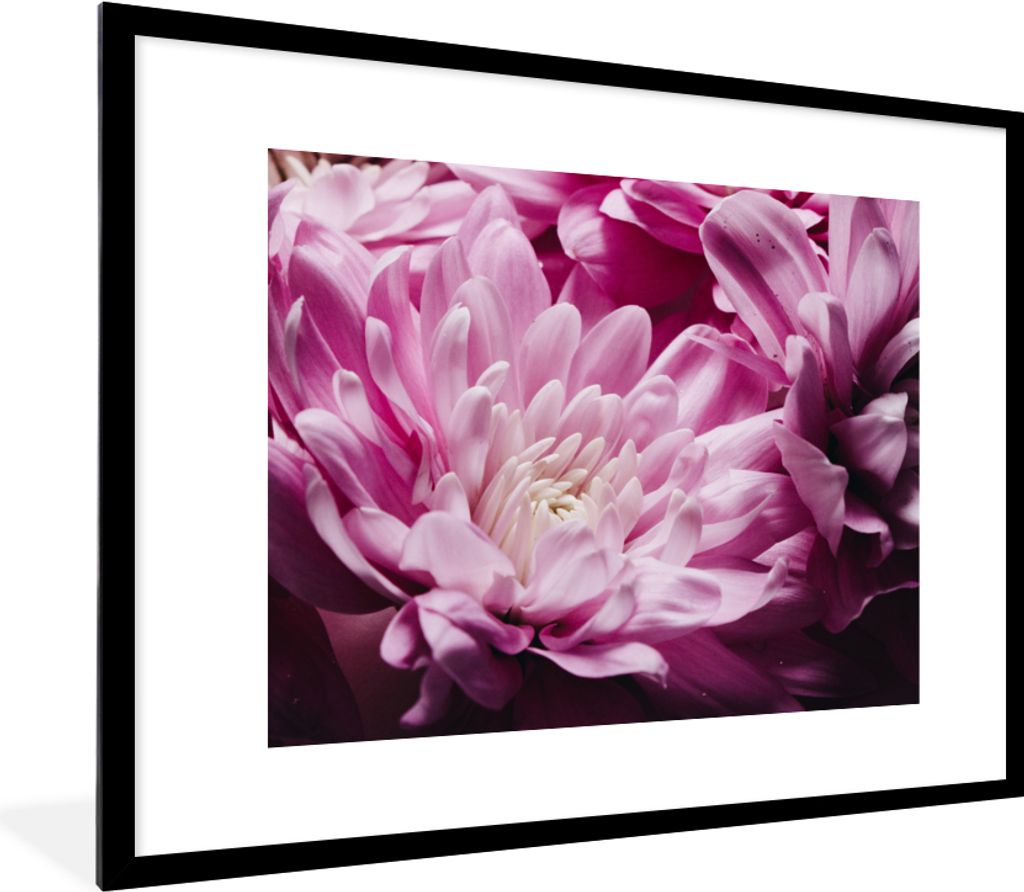 MuchoWow Gerahmtes Poster Blumen - Rosa - Natur 80x60 cm - Poster mit Schwarzem Bilderrahmen Wandposter Rahmen Foto Bilder - Schlafzimmer-Dekorat...