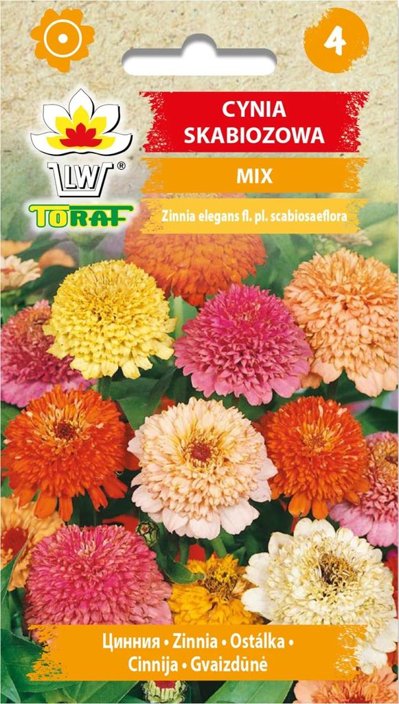 Zinnia scabiosa MIX 1g Immagine del prodotto 
