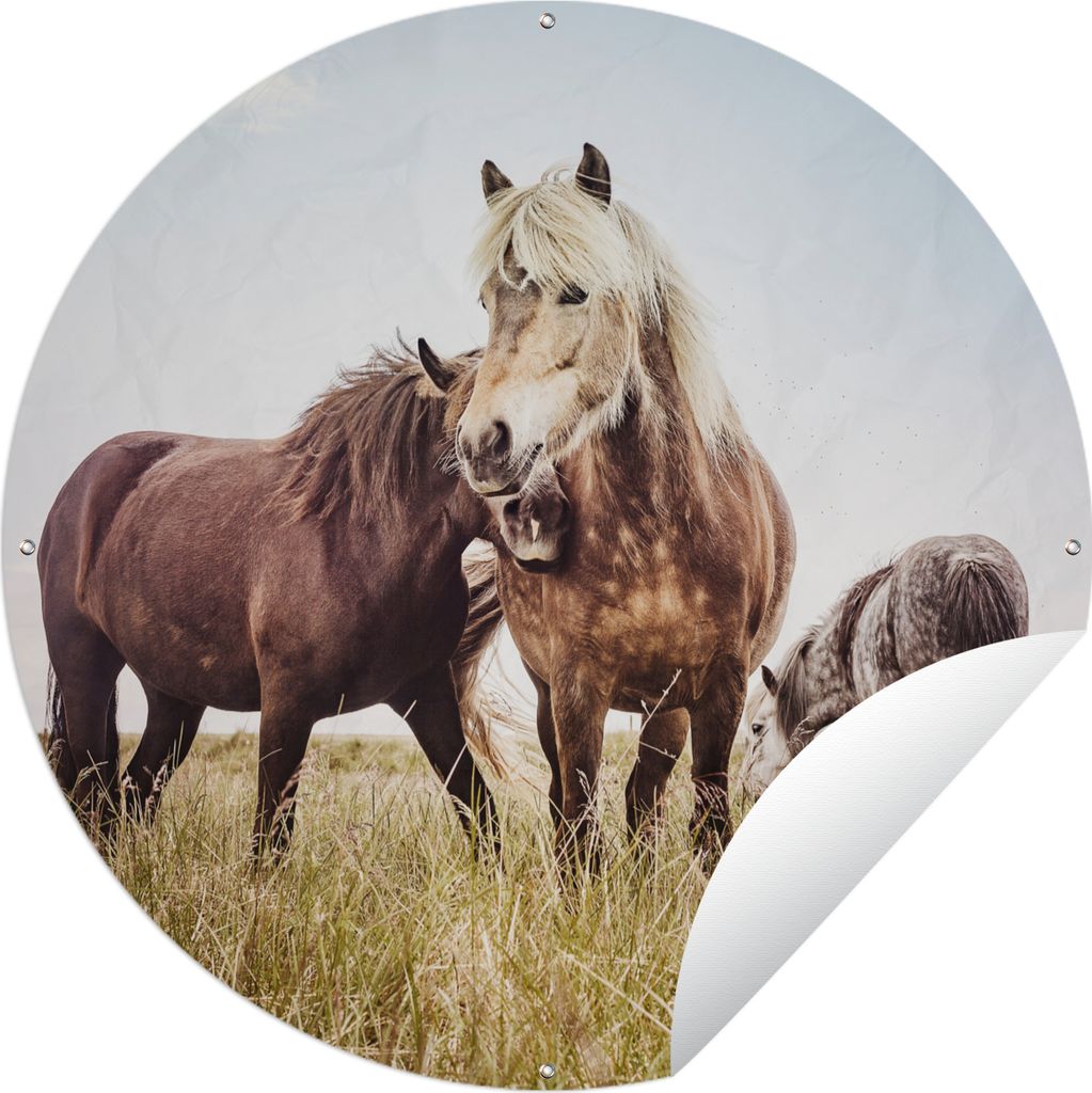MuchoWow Gartenposter Outdoor-Poster Rund Pferde - Gras - Frühling Ø 150 cm Gartendeko Rundes Poster draußen
