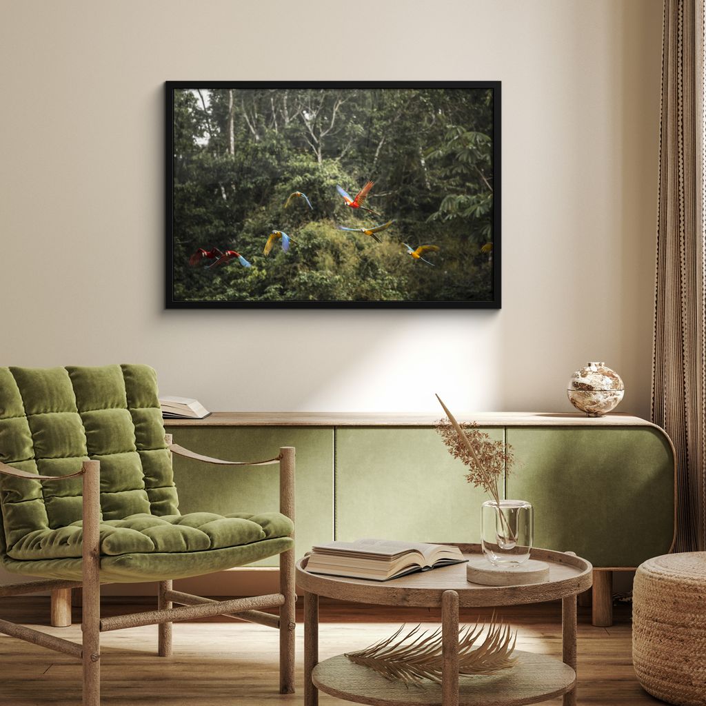 MuchoWow MuchoWow Gerahmtes Poster Papageien - Fliegen - Wald 90x60 cm - Poster mit zchwarzem Bilderrahmen - Fotorahmen - Foto-Plakat