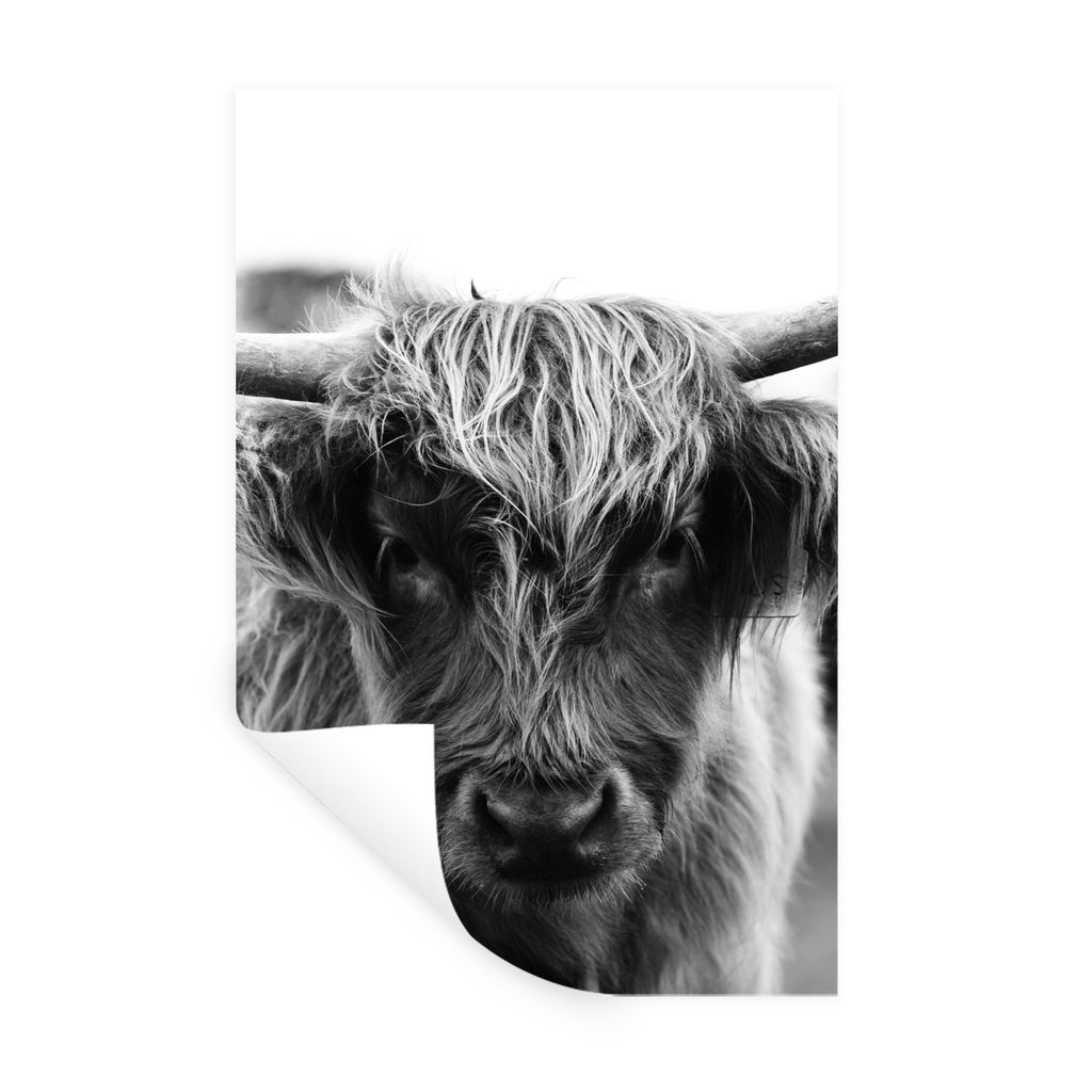 MuchoWow Wandtattoo Wandsticker Wandaufkleber Schottischer Highlander - Kuh - Gras - Tiere - Natur 80x120 cm Selbstklebend und Repositionierbar -...