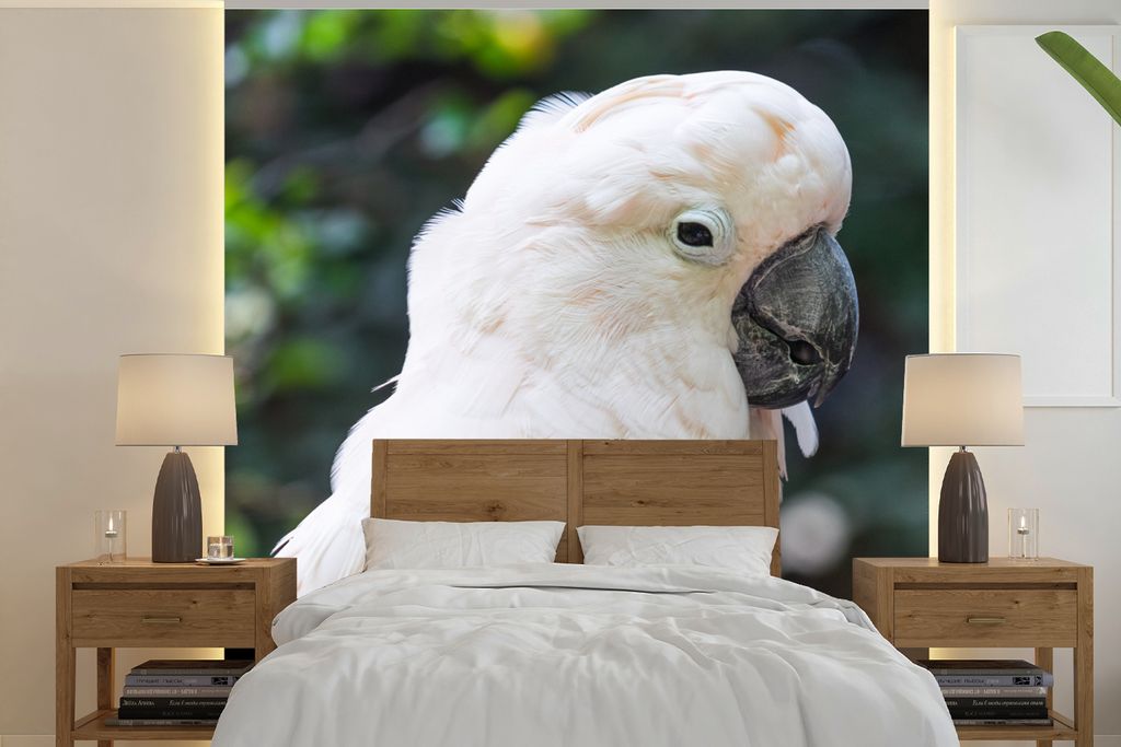 MuchoWow Fototapete für Wohnzimmer oder Schlafzimmer Wandtapete Vinyl Motivtapete Nahaufnahme eines weißen Kakadus - 260x260 cm - Papiertapeten