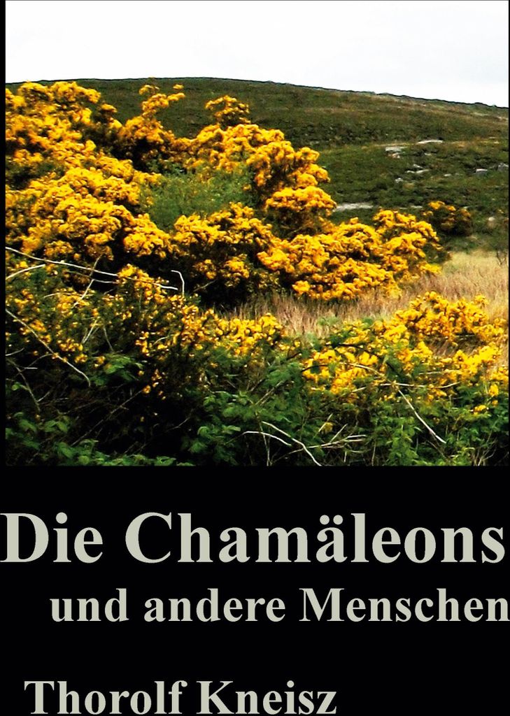 Die Chamäleons und andere Menschen