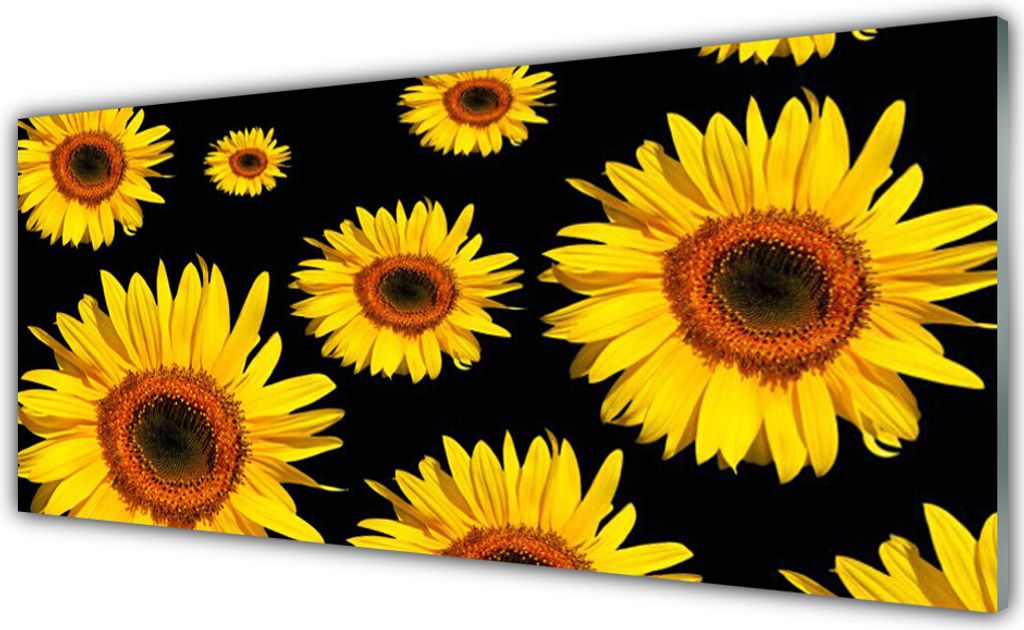 Küchenrückwand aus Glas 125x50cm Spritzschutz Sonnenblumen Pflanzen