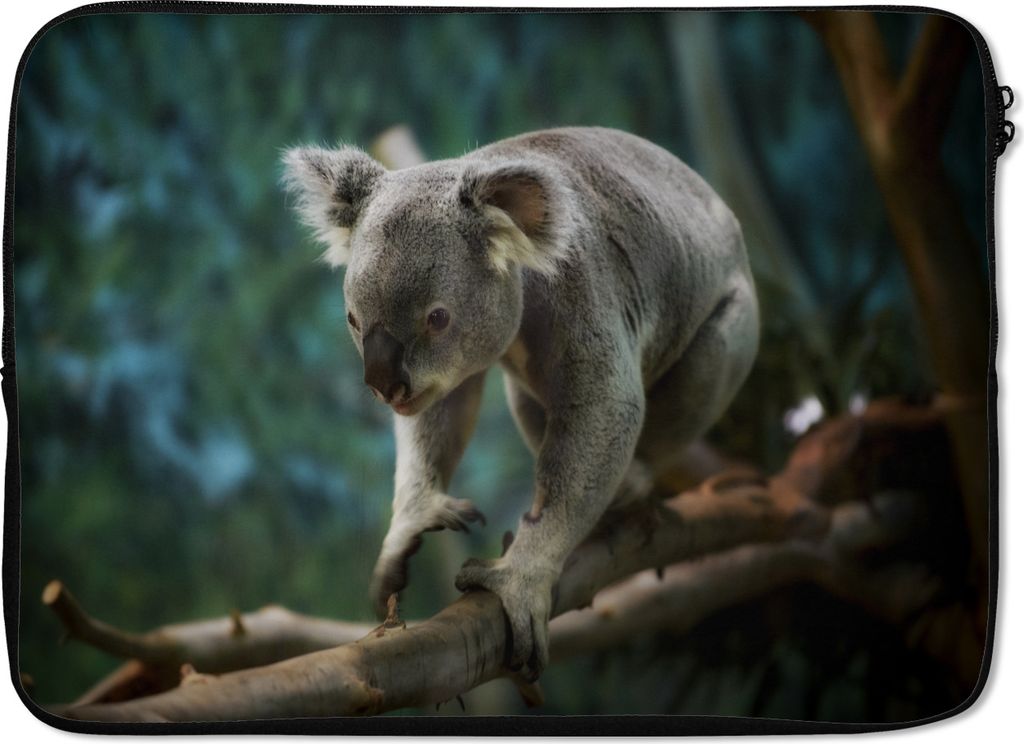 MuchoWow Laptop Hülle 13 Zoll Koala - Baum - Klettern - Kinder - Jungen - Mädchen Laptoptasche - Laptophülle - Sleeve - Rundumschutz